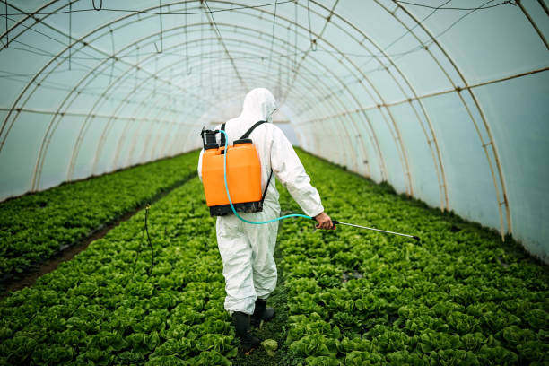 Best Mosquito Control Services  in Locust Valley, NY