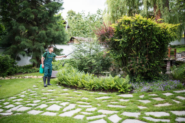 Best Affordable Pest Control Services  in Locust Valley, NY