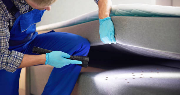 Best Best Pest Control Companies  in Locust Valley, NY