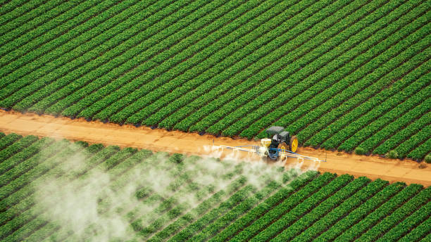 Best Ant Control Services  in Locust Valley, NY