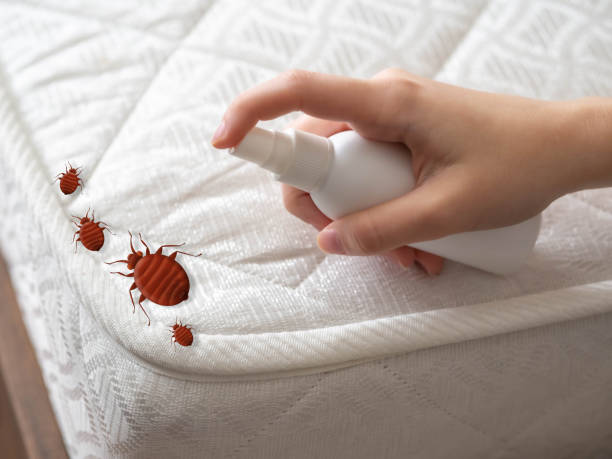 Best Pest Removal Services  in Locust Valley, NY