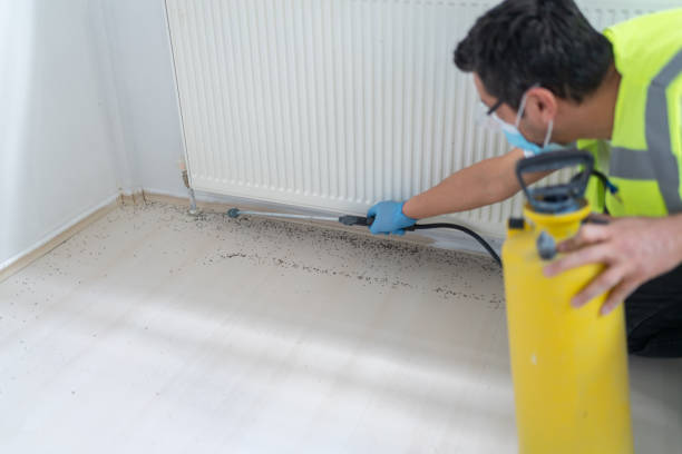 Best Insect Control  in Locust Valley, NY