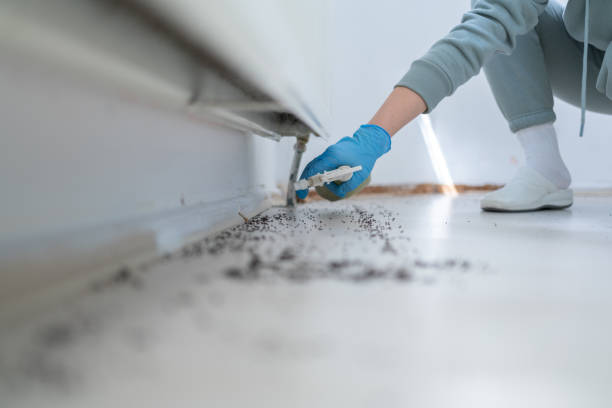 Best Pest Control Treatment  in Locust Valley, NY
