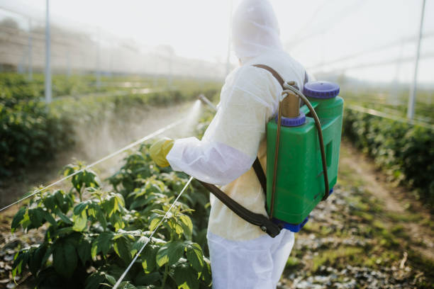 Best Pest Prevention Services  in Locust Valley, NY